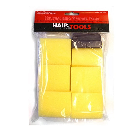 HAIRTOOLS Hair Tools Neutralising Sponge (6)