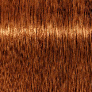 Schwarzkopf Igora Royal 60ml - 7.7