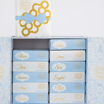 PRE ORDER - Twelve Days of Framar 2026 Advent Calendar