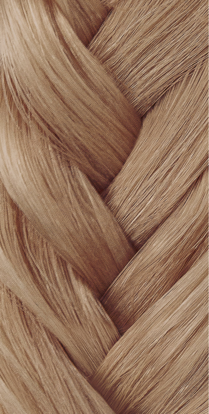 Epilogue 8-8 Brown