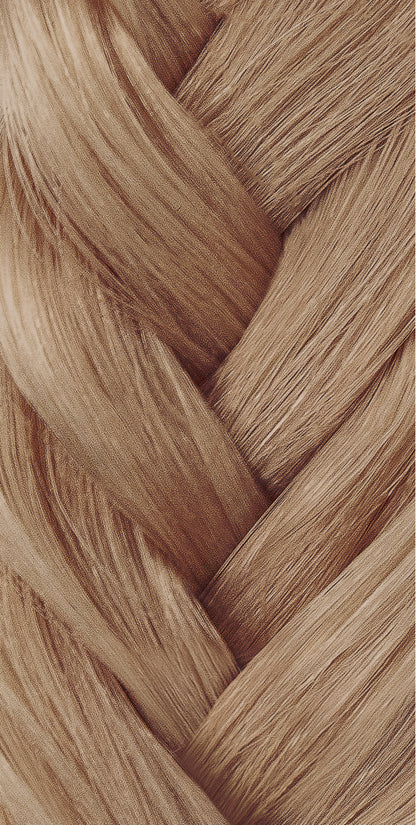 Epilogue 8-8 Brown