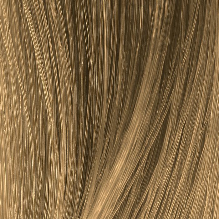 phpXFnD5c