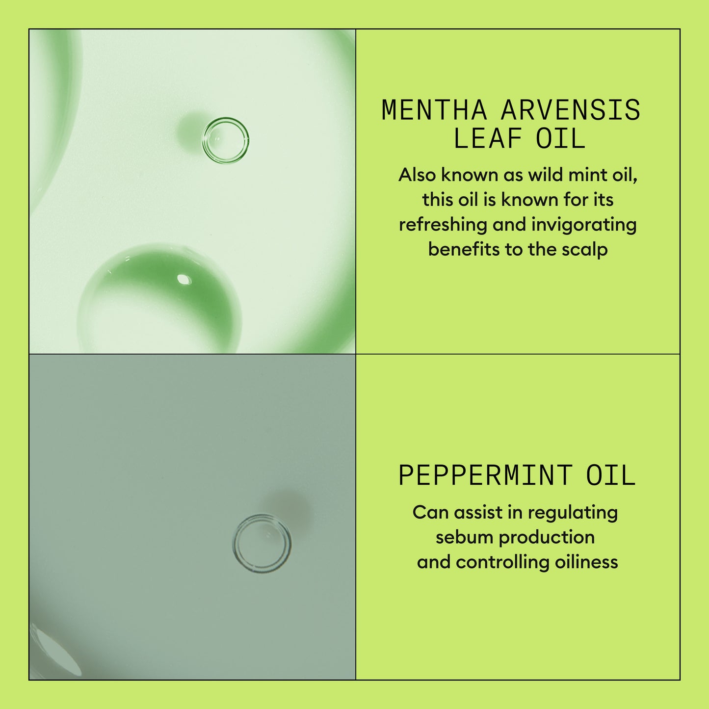 Nioxin Trial Kit System 2 - For Natural Hair