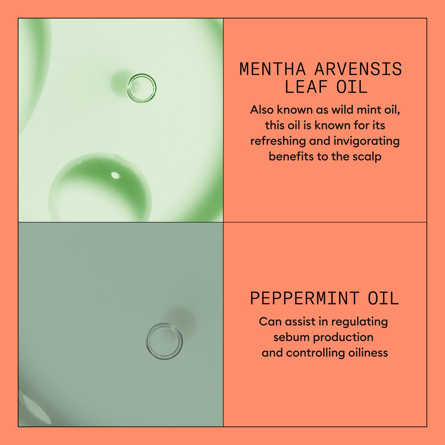 Nioxin Kit 4 - For Coloured Hair with Progressed Thinning