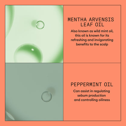 Nioxin Kit 4 - For Coloured Hair with Progressed Thinning